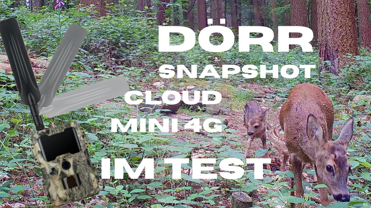 Doerr Snapshot Cloud Mini 4G - Die beste Einsteiger Wildkamera