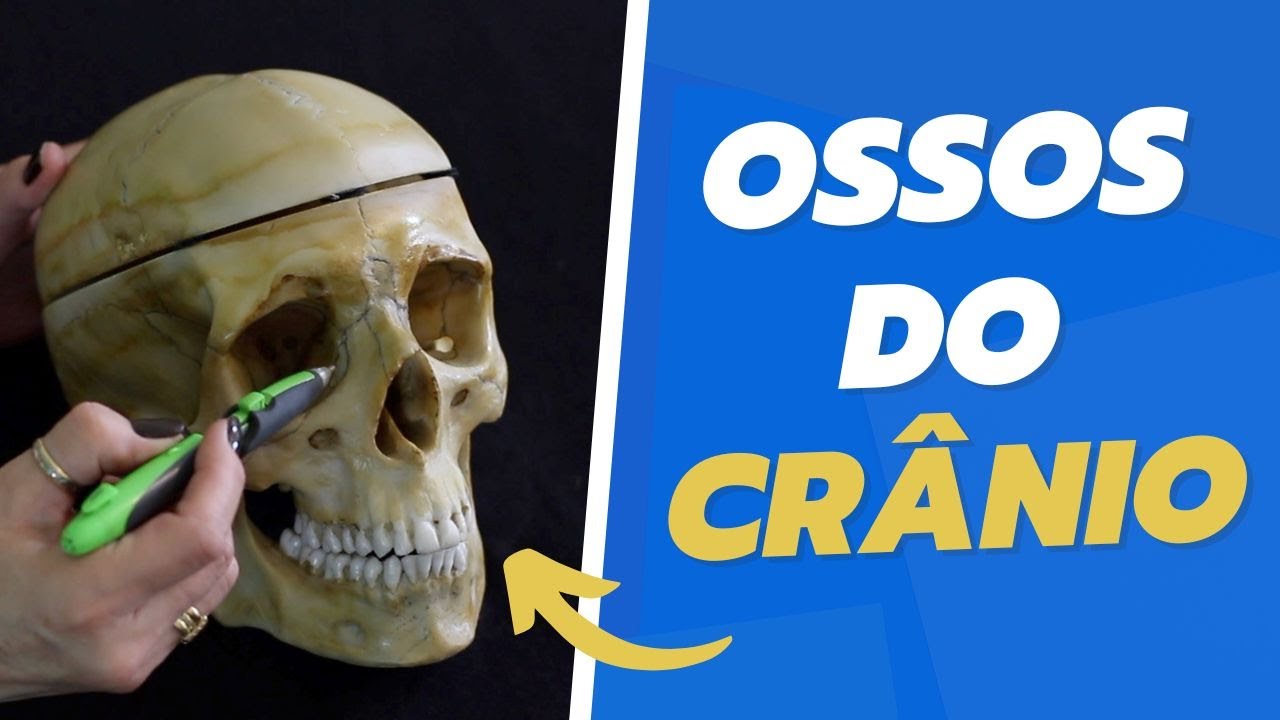 OSSOS DO CR&Acirc;NIO