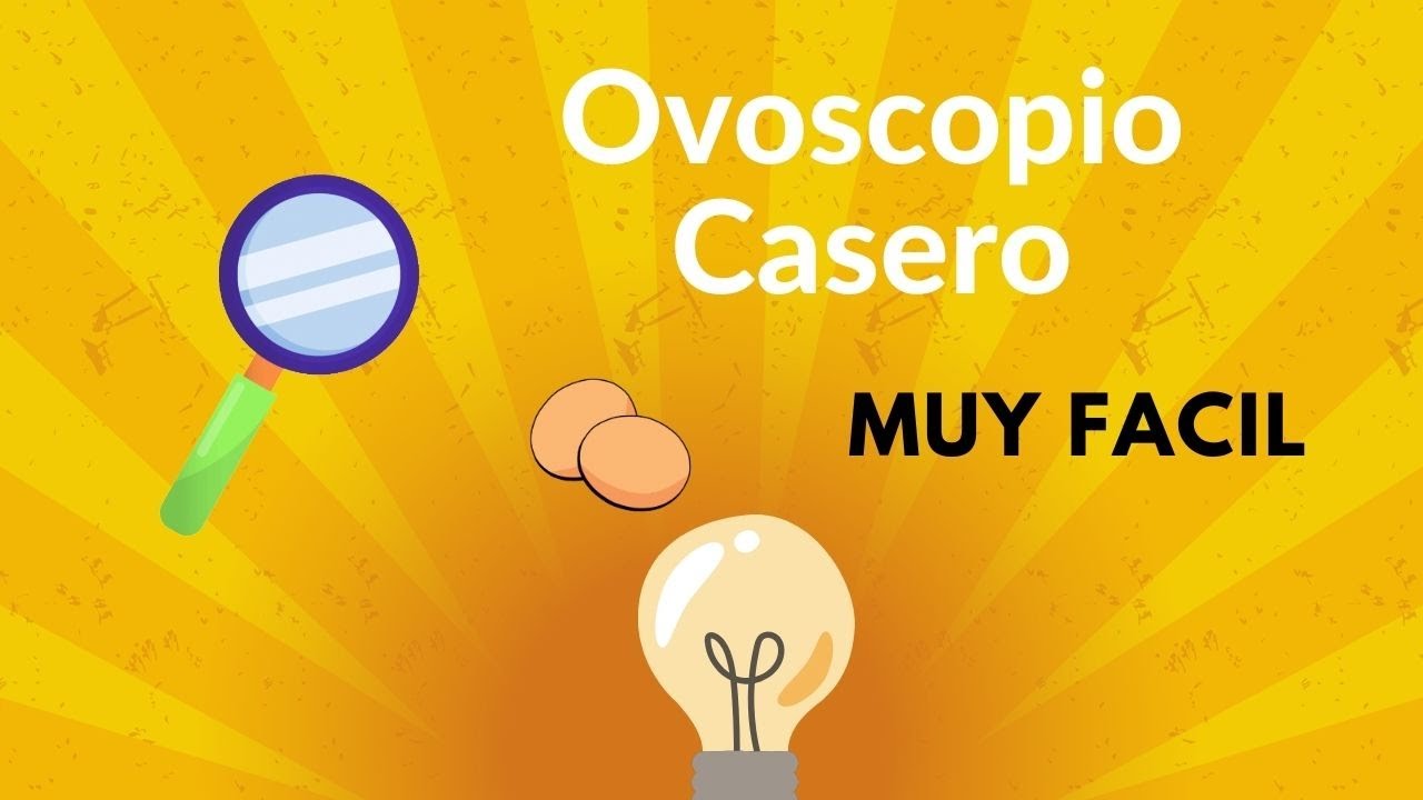 OVOSCOPIO CASERO, Gallinas: Observa el Interior de los Huevos con un Ovoscopio Hecho Casero