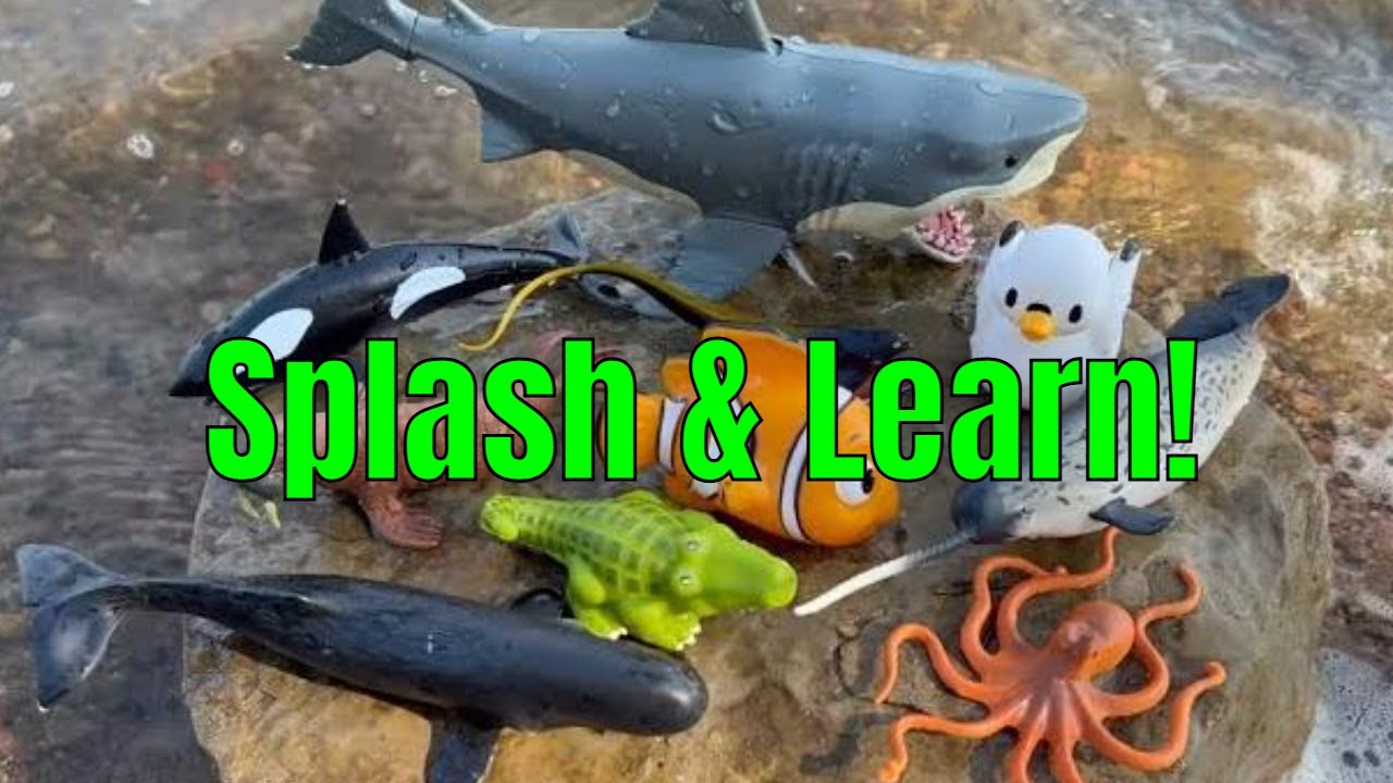Play with Ocean Toys & Learn!