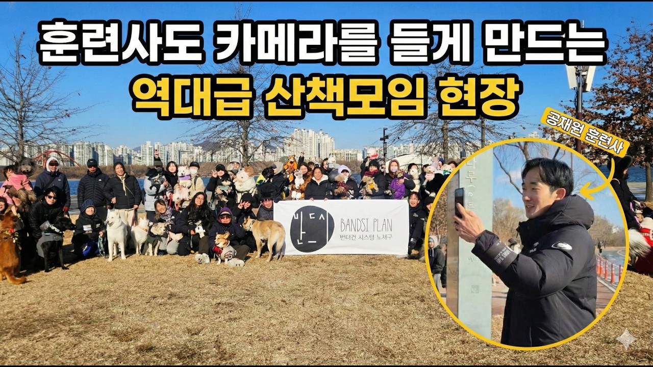 반려견 산책 모임’✨ |여의도 한강 ‘매너 주의보’📢 #반드시플랜,#Shorts,#반려견산책모임