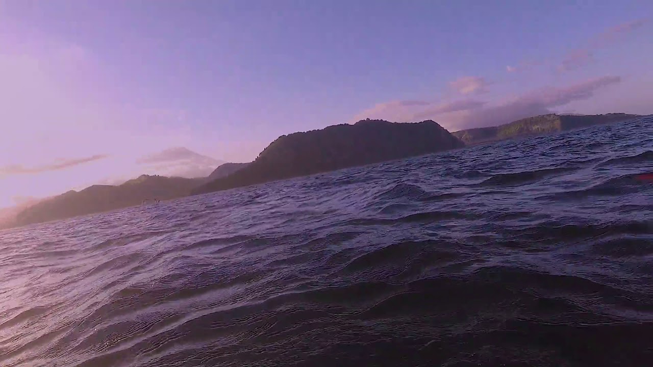 double lined mackerel