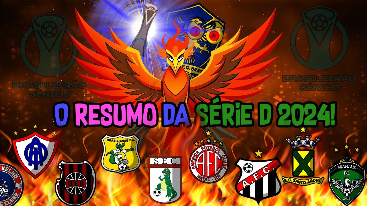 O RESUMO DA SÉRIE D 2024