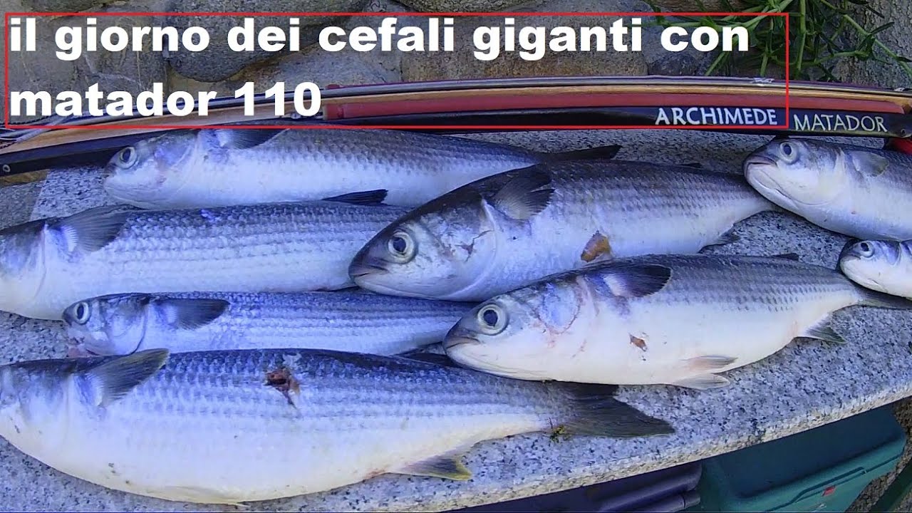 pescasub sardegna settembre 2022: come ho realizzato la *PESCATONA DA RICORDARE , #spearfishing
