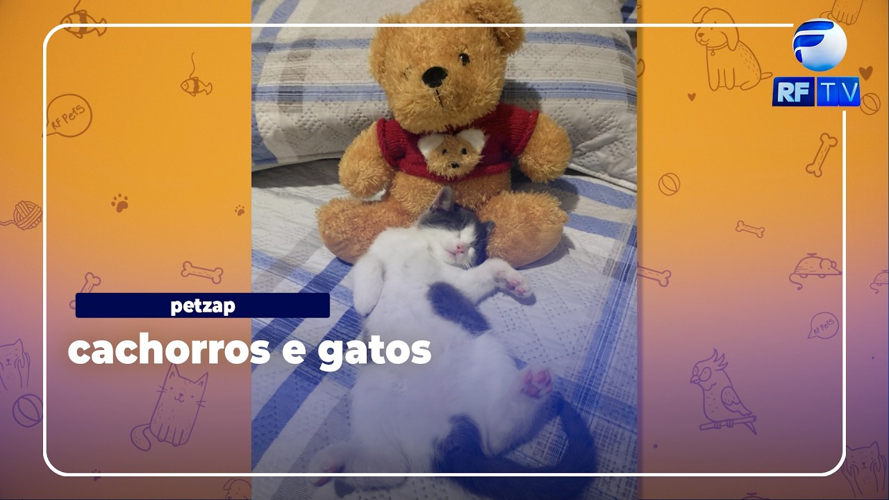 Petzap