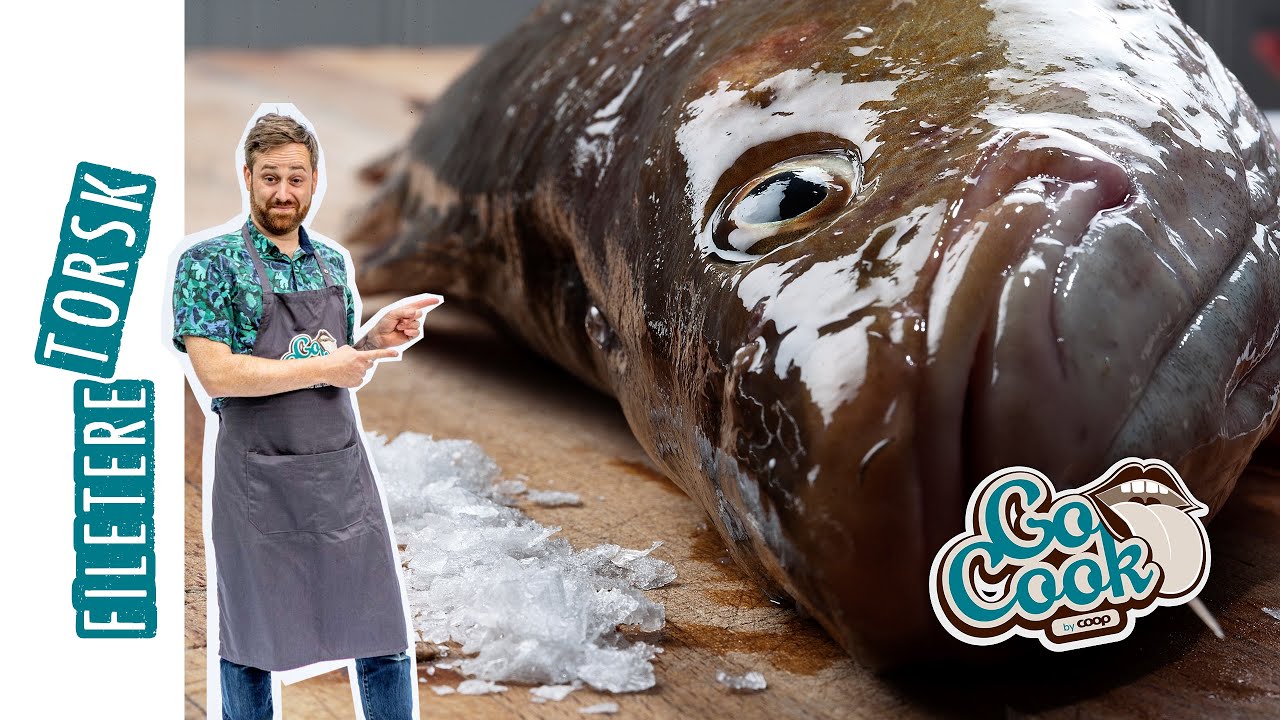 Sådan fileterer du torsk og torskefisk for begyndere | GoCook by Coop