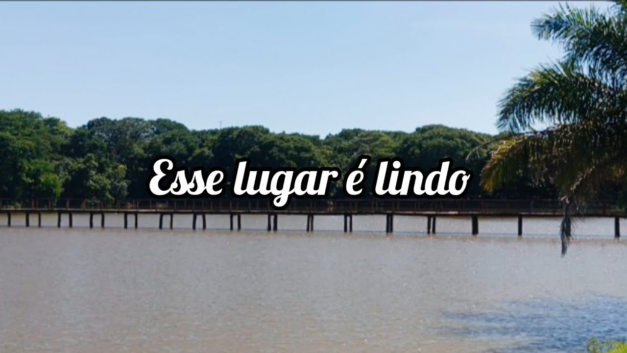 Fiz uma pequena viagem+ plantei samambaia de rizomas/Antônia Oliveira.