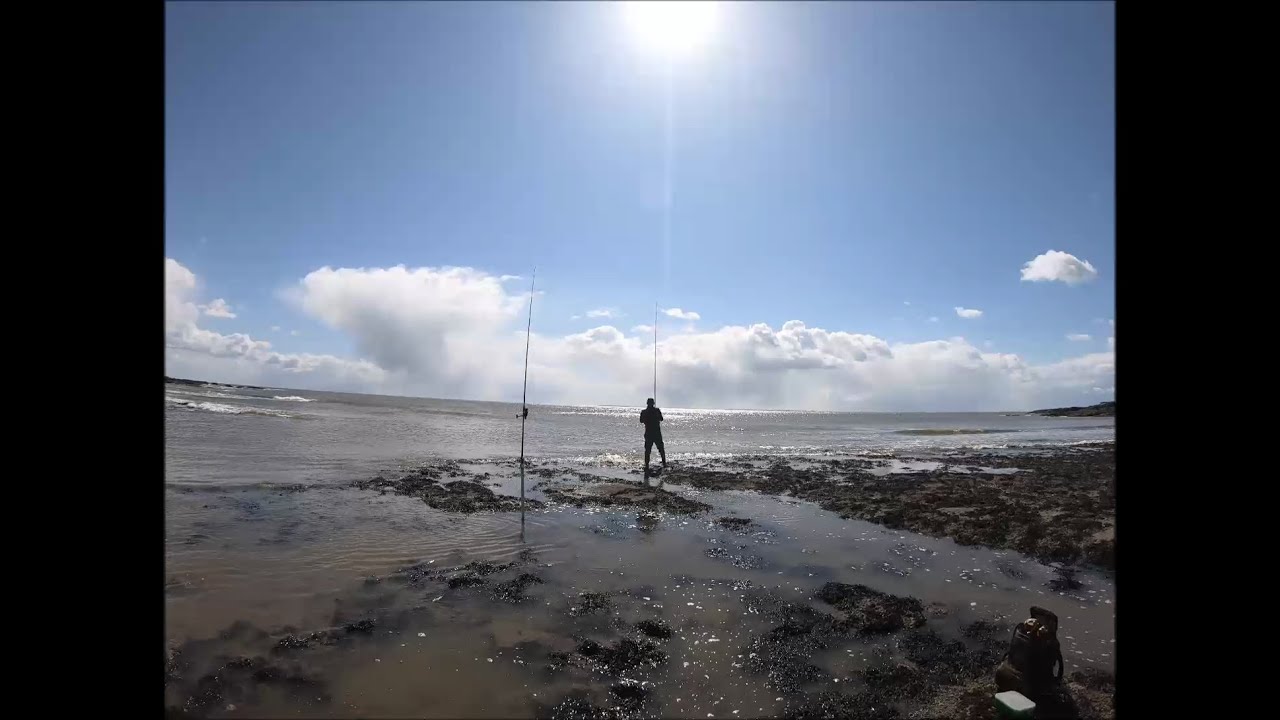 Pêche d'un gros BAR au premier lancé ! Avril 2022.