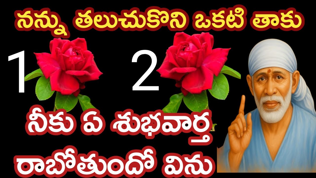 ఈ రెండు పువ్వులలో ఒకటి తాకు బిడ్డా నీకు ఏ శుభవార్త వస్తుందో విను |saibaba advice @saipalukulu
