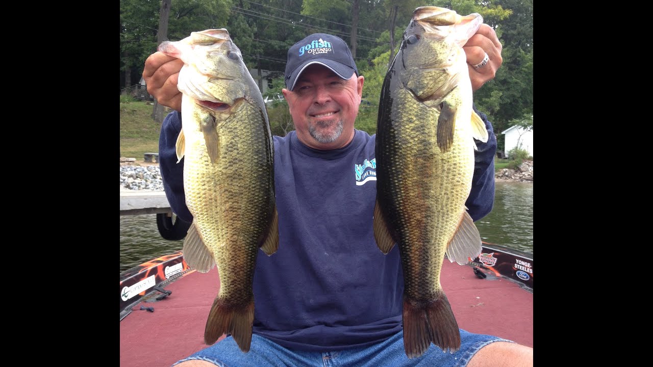 Largemouth bass on weed clumps- 'NEW' full length episode