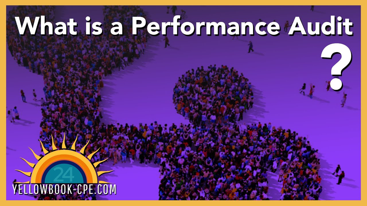The Sample - What Is the Purpose of a Performance Audit?