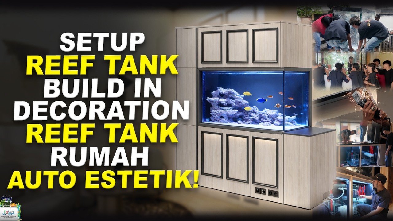 SETUP BUILD IN DECORATION REEF TANK! BIKIN RUMAH MAKIN ESTETIK
