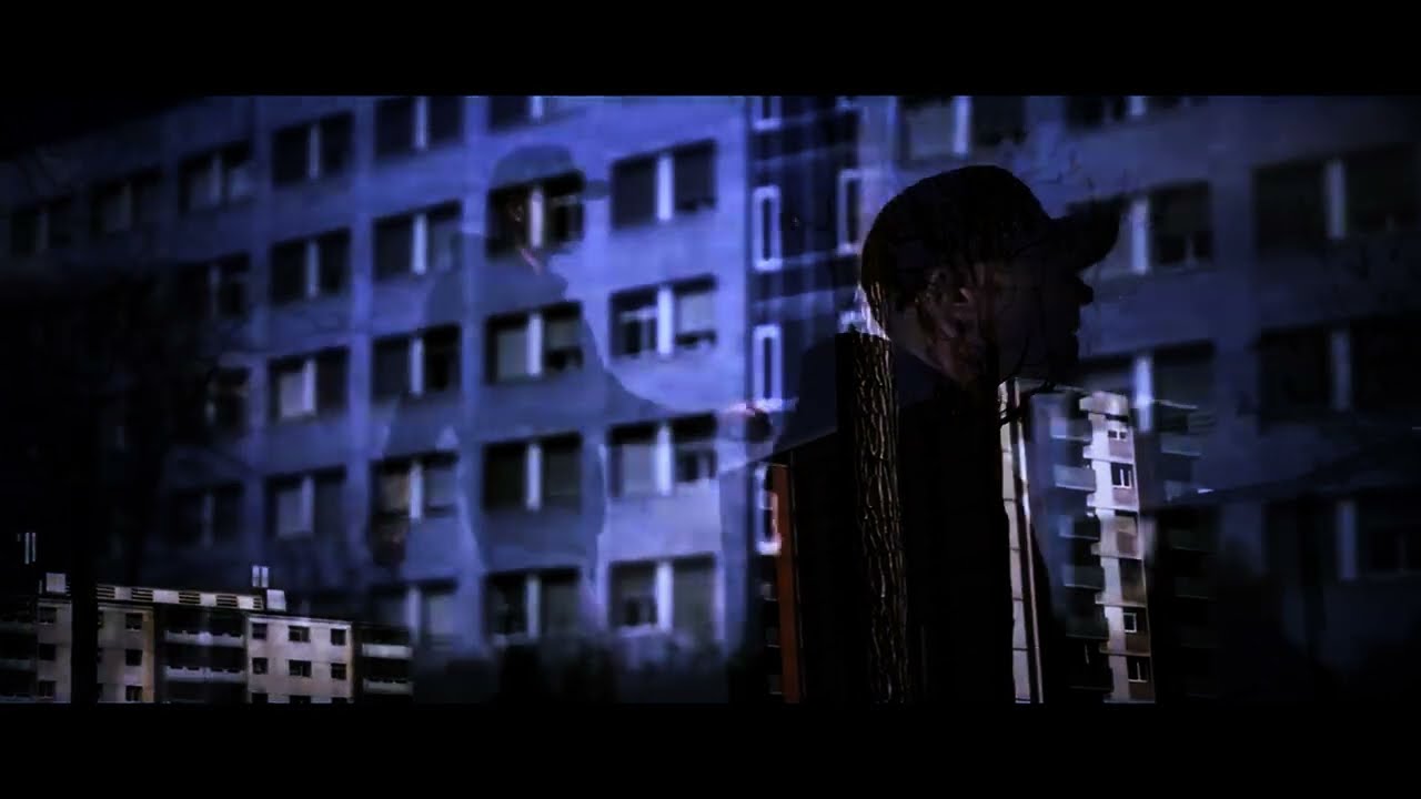 CHAKUZA - BIS EINER WEINT #roots  #chakuza