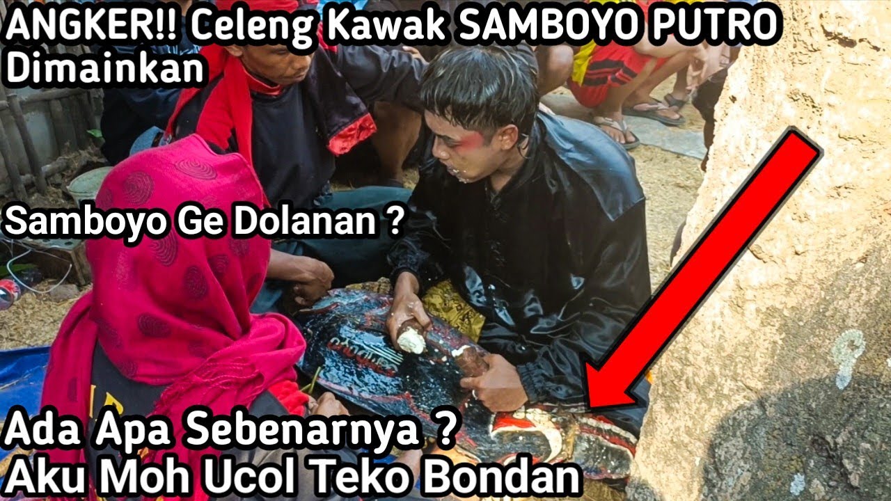 Angker‼️Celeng Gembel Samboyo Putro yang dulu Hampir Merenggut Nyawa Mas Bondan datang lagi