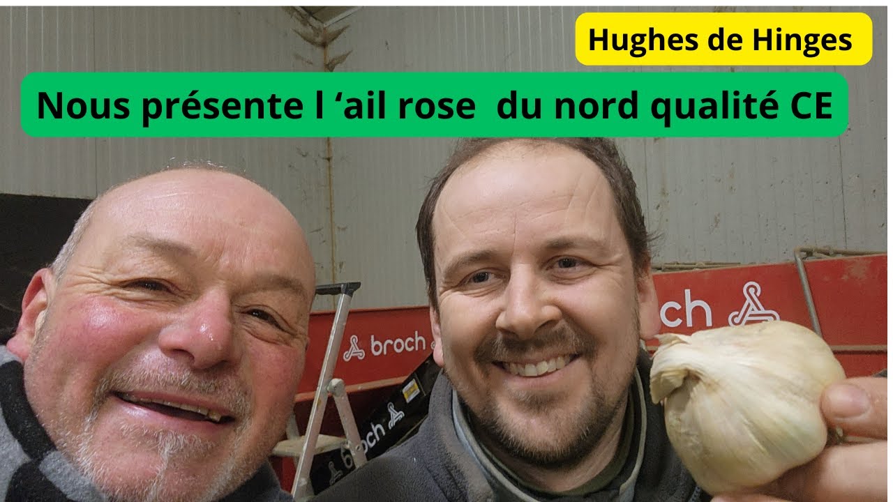 Je vous pr&eacute;sente l'ail rose du nord qualit&eacute; CE de mon ami Hugues