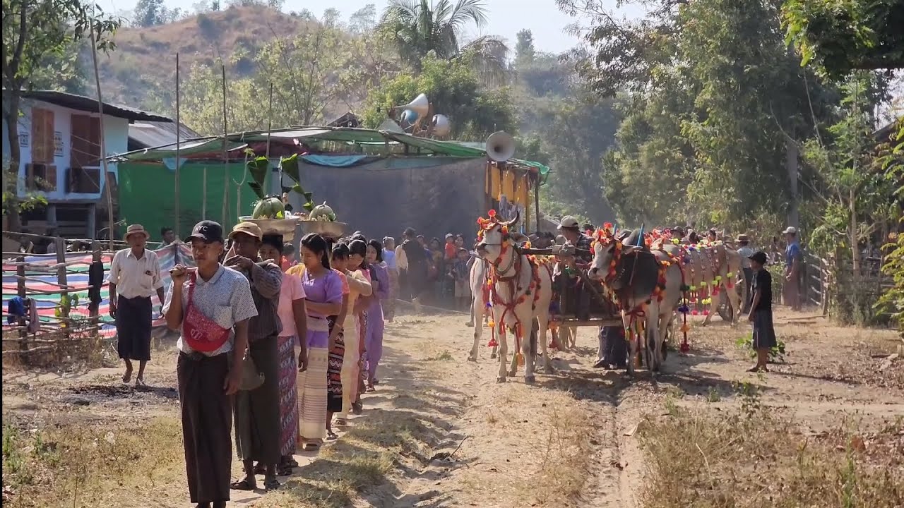 ကိုနေဝေးတို့အညာကျေးလက် ရိုးမပေါ်ကရွာကလေးရဲ့ရှင်ပြုအလှူလေး #createbynayway #myanmar