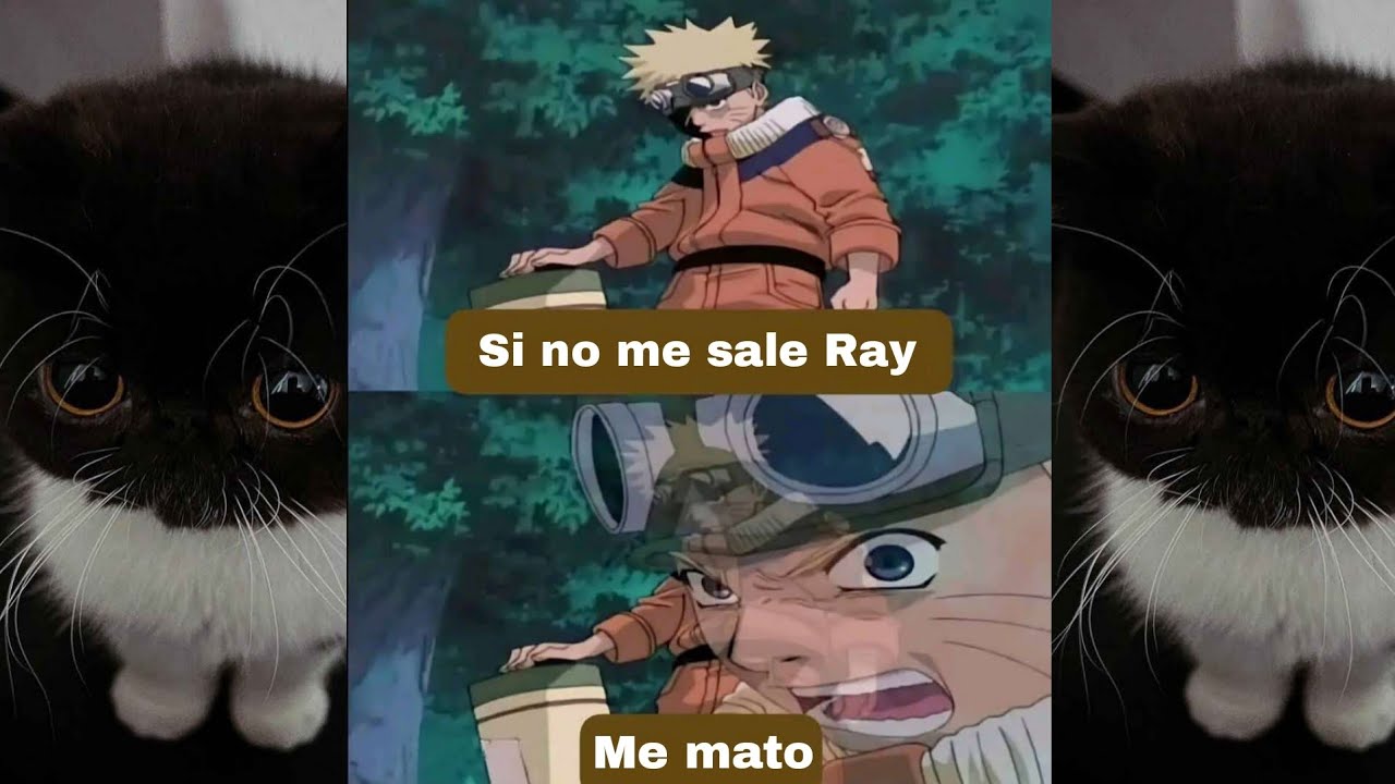 ¡Estas son mis tiradas por Ray! La nueva sniper Hunter de Arknights.