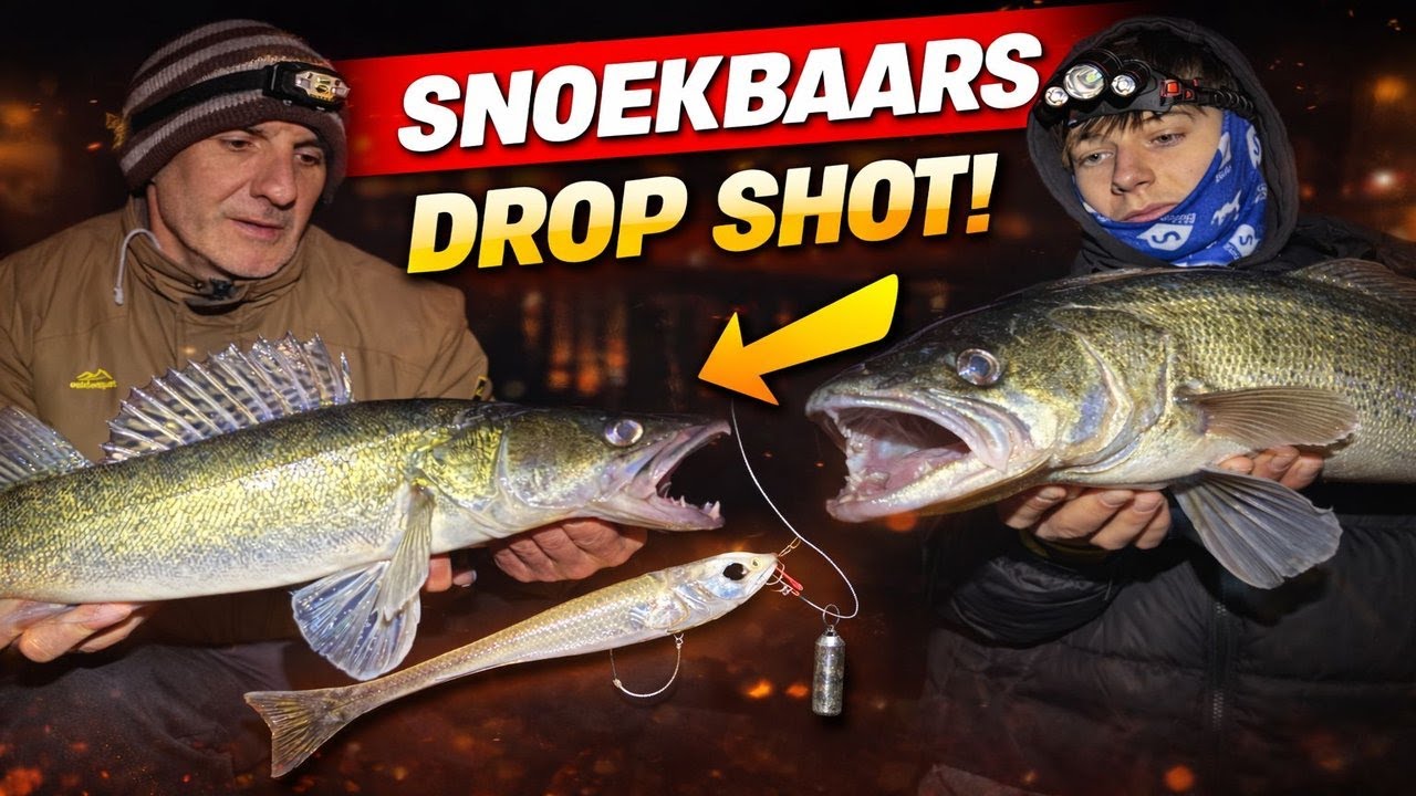 snoekbaarsvissen met de dropshot!