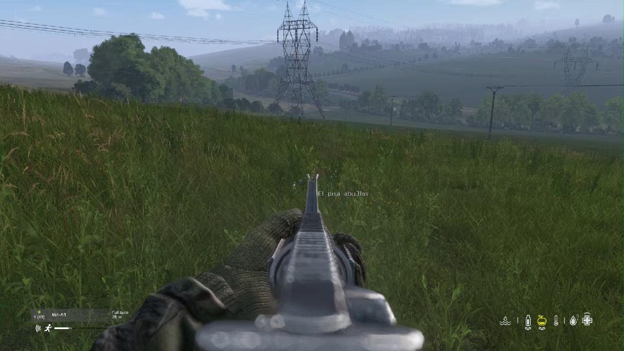 #DayZ_ Thanks For the derendered grass