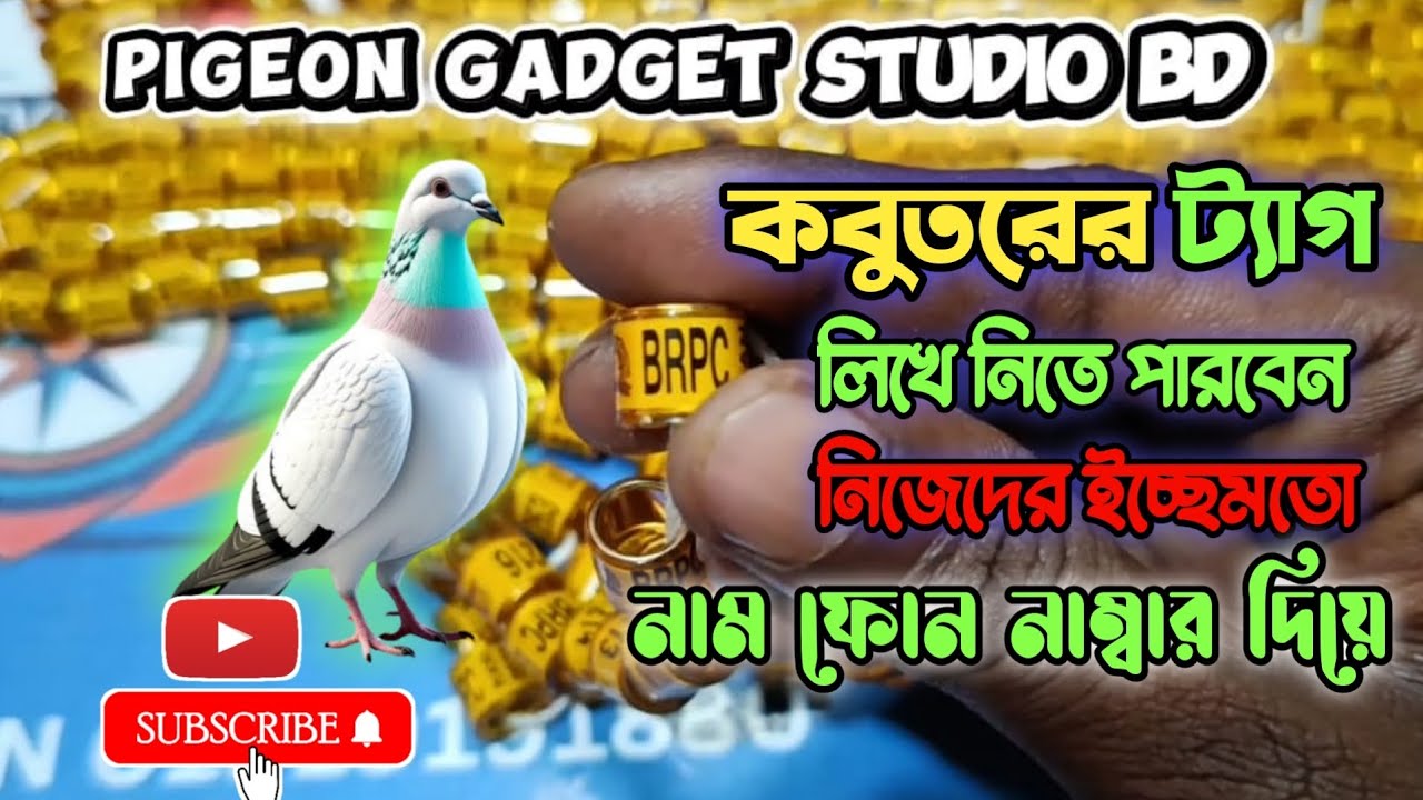 কবুতরের পায়ের ট্যাগ | Racing Pigeon Leg Ring | ক্লাব রিং | পায়রার ট্যাগ | China Pigeon Leg Ring 