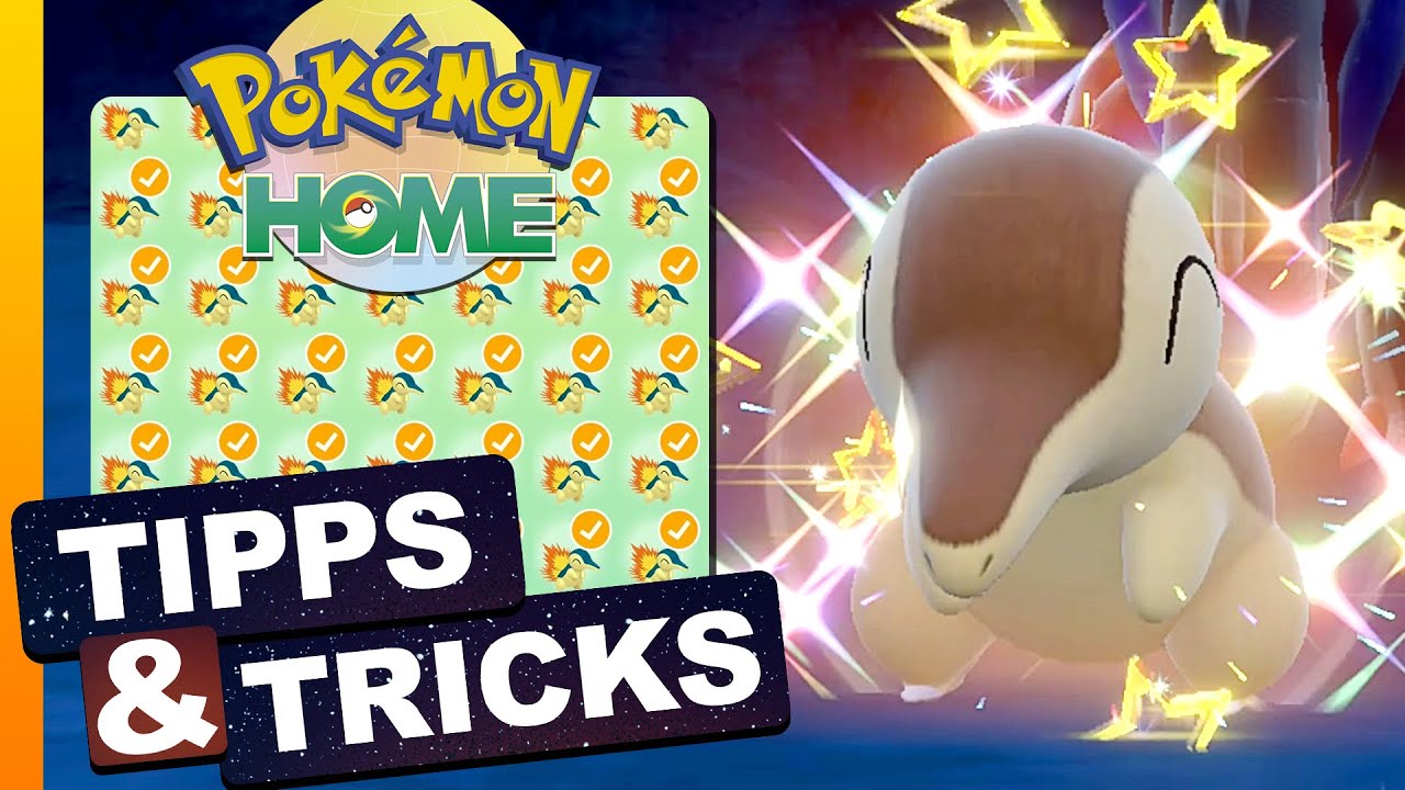 Besser Shiny Br&uuml;ten mit Pok&eacute;mon HOME