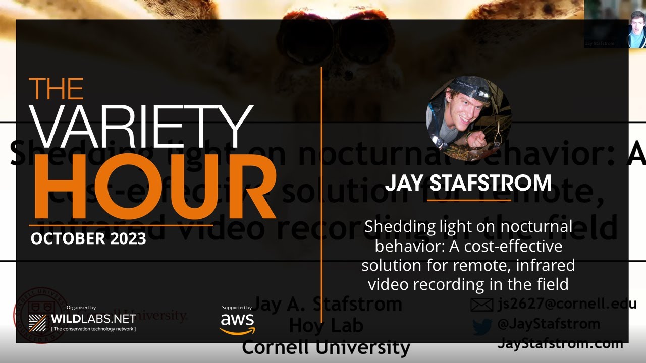 Jay Stafstrom: Shedding light on nocturnal behavior