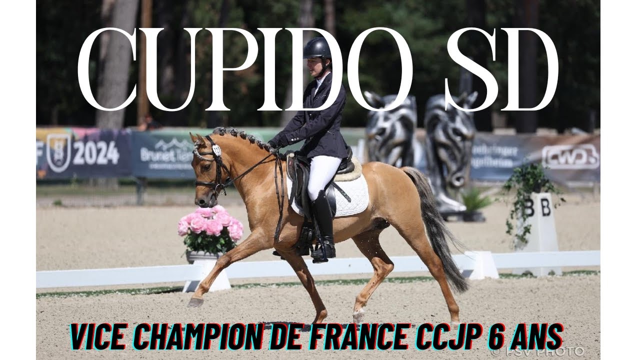 CUPIDO SD - Vice Champion de France CCJP 6 ans