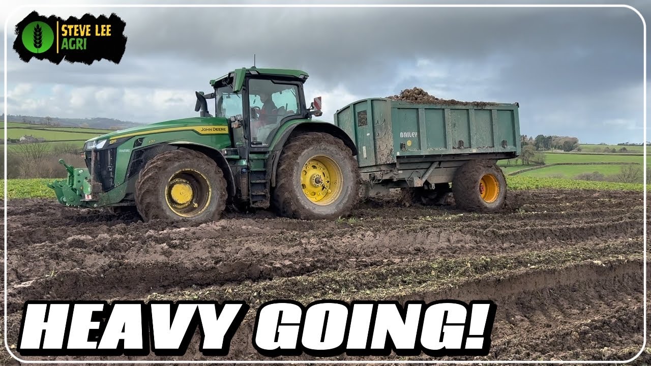 DEEP RUTS AND WET SPOTS! HARVESTER REFUSAL BUT MORE BEET LIFTED. 