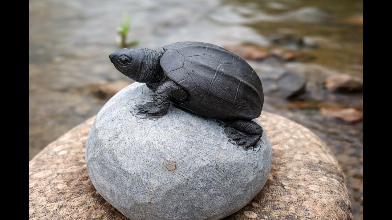 From Raw Stone to Stone Turtle – Stunning Carving Art You Must See!