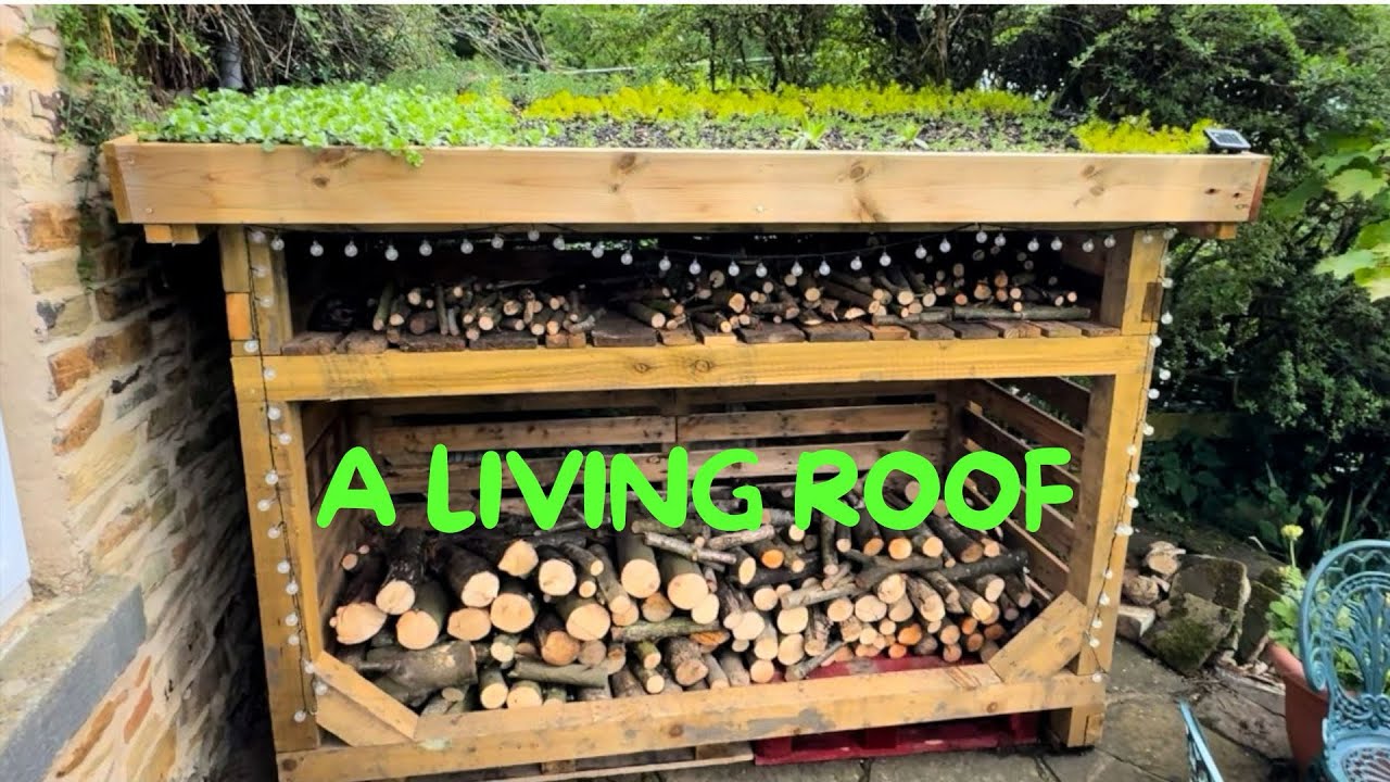 Make your own living roof.