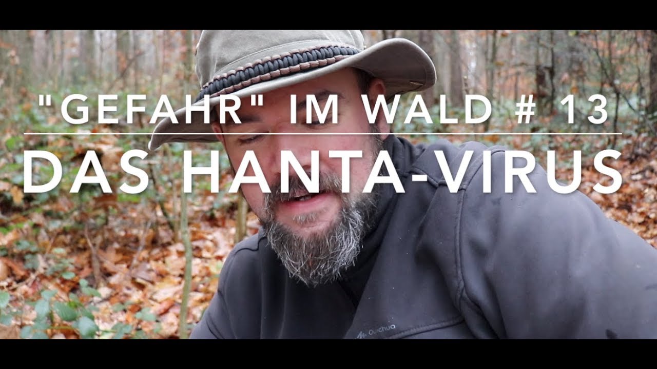 Hantavirus - 