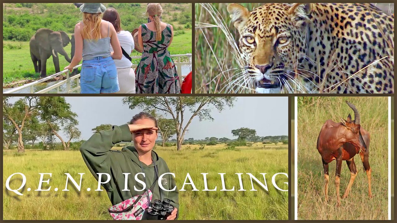 Queen Elizabeth National Park - Medly of Wonders - #QENP is Calling