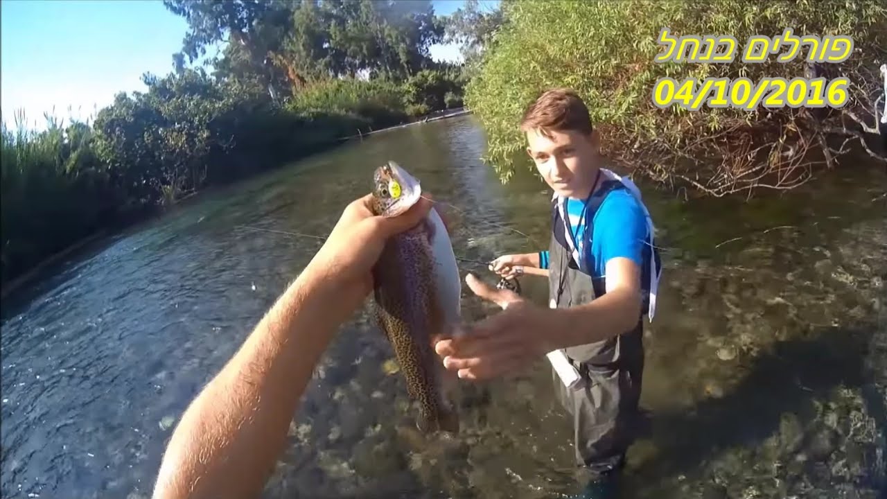 דיג-ליאור גכמן פורלים בנחל 04/10/16 Rainbow Trout Fishing