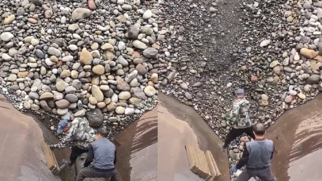 Unloading pebbles from a 2500-ton cargo ship was so smooth!