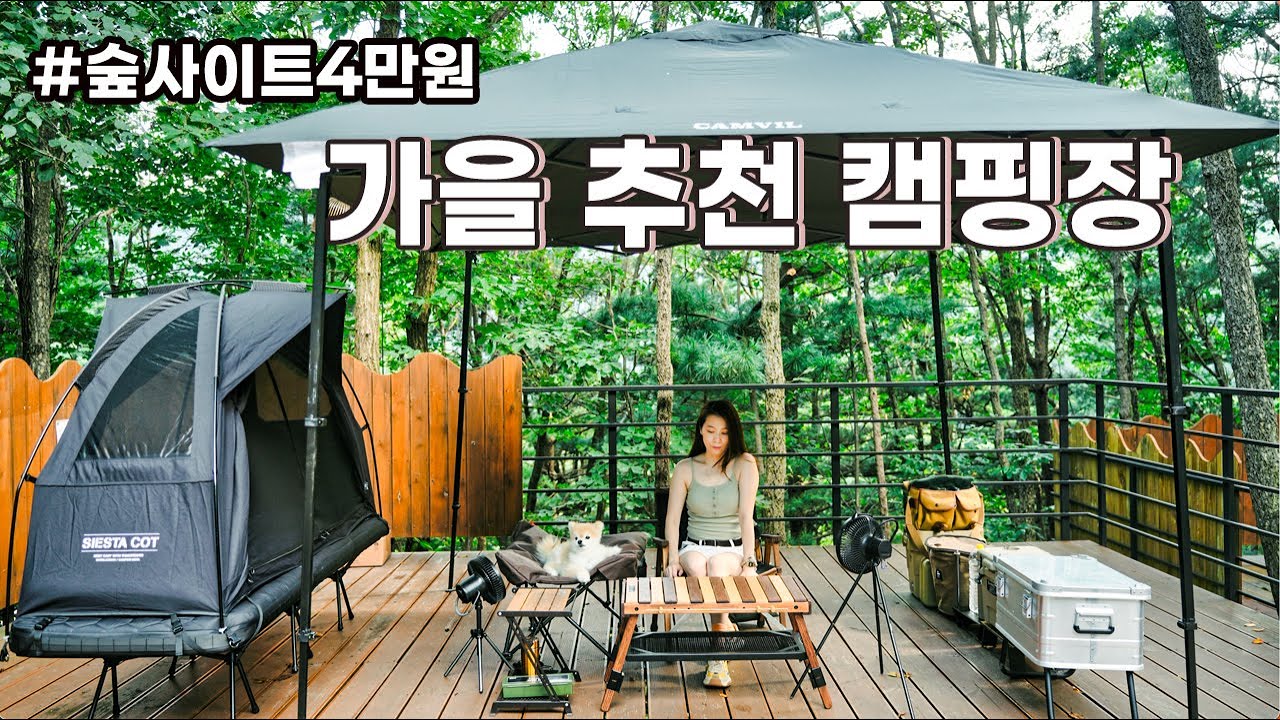 가을캠핑장은 여기 강력추천 | 솔로캠핑 | 물비빔면과 삼겹살 | 애견동반캠핑 | 캠핑브이로그