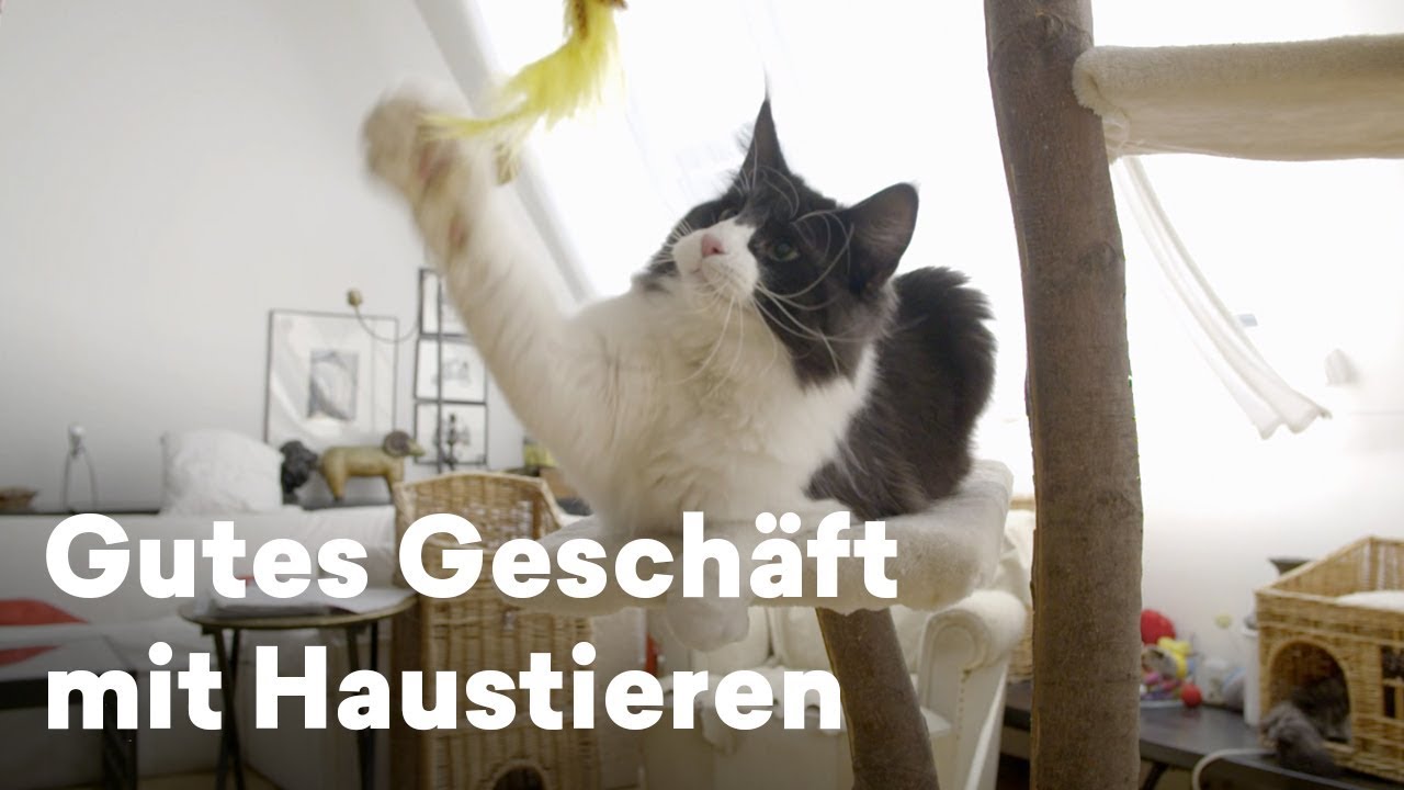 Das gute Gesch&auml;ft mit den Haustieren &ndash; von Hunden bis Katzen | Doku aus &Ouml;sterreich