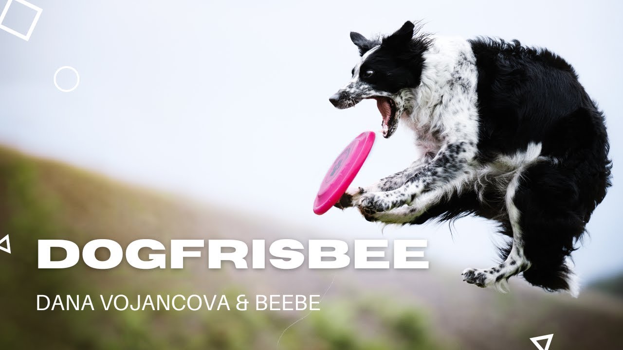Dana Vojancová & Bebee