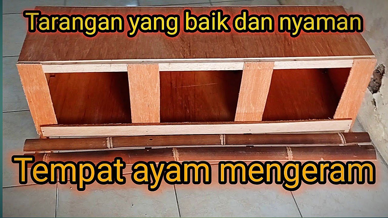 Membuat tempat ayam bertelur yang nyaman
