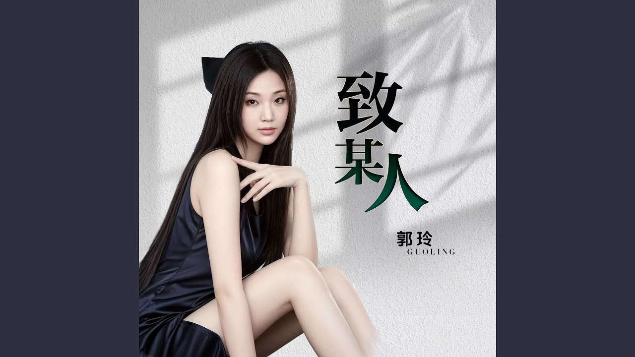 致某人 (Dj何鹏版伴奏)