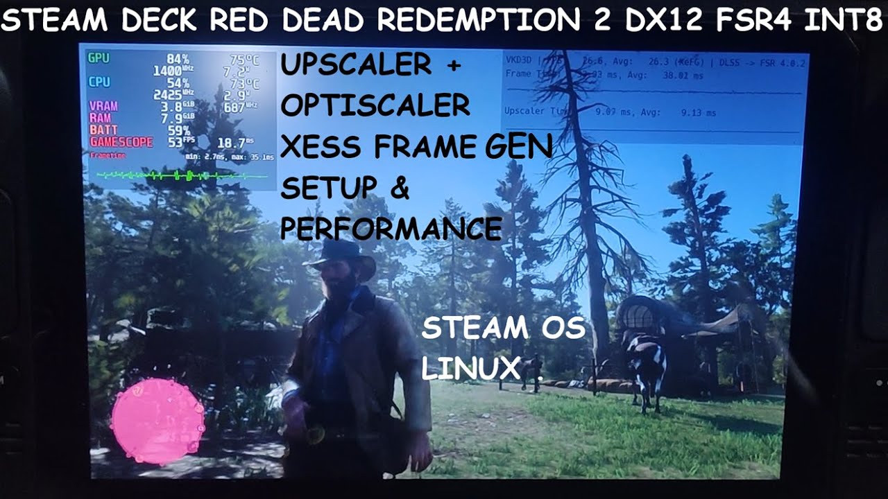 2026 Steam Deck Red Dead Redemption 2 DX12 FSR 4 INT8 Upscaler + Optiscaler XeFG Setup SteamOS Linux