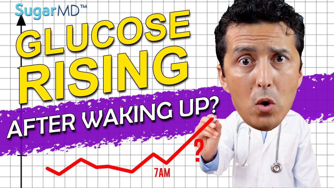 Glucose Rising After Waking Up? Here Is Why!