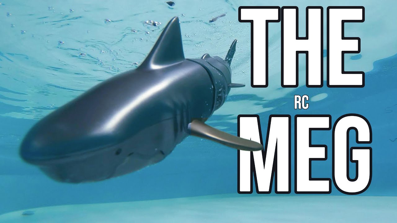RC Diving Shark