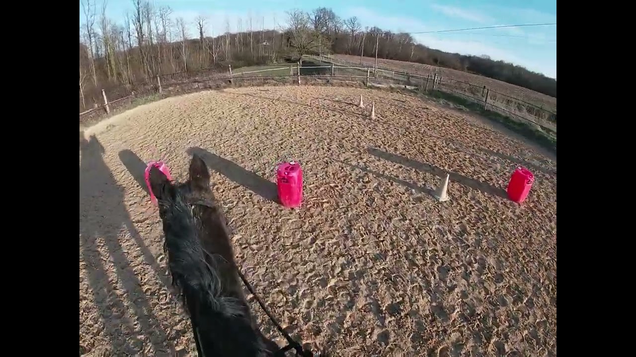Un cours de plat avec la louloute !! Faut s'accrocher !! ^^