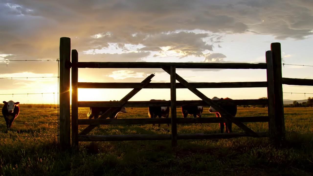 Harvest Moonlight Country Love Collection — Johnny Cash, Reba McEntire & Tim McGraw