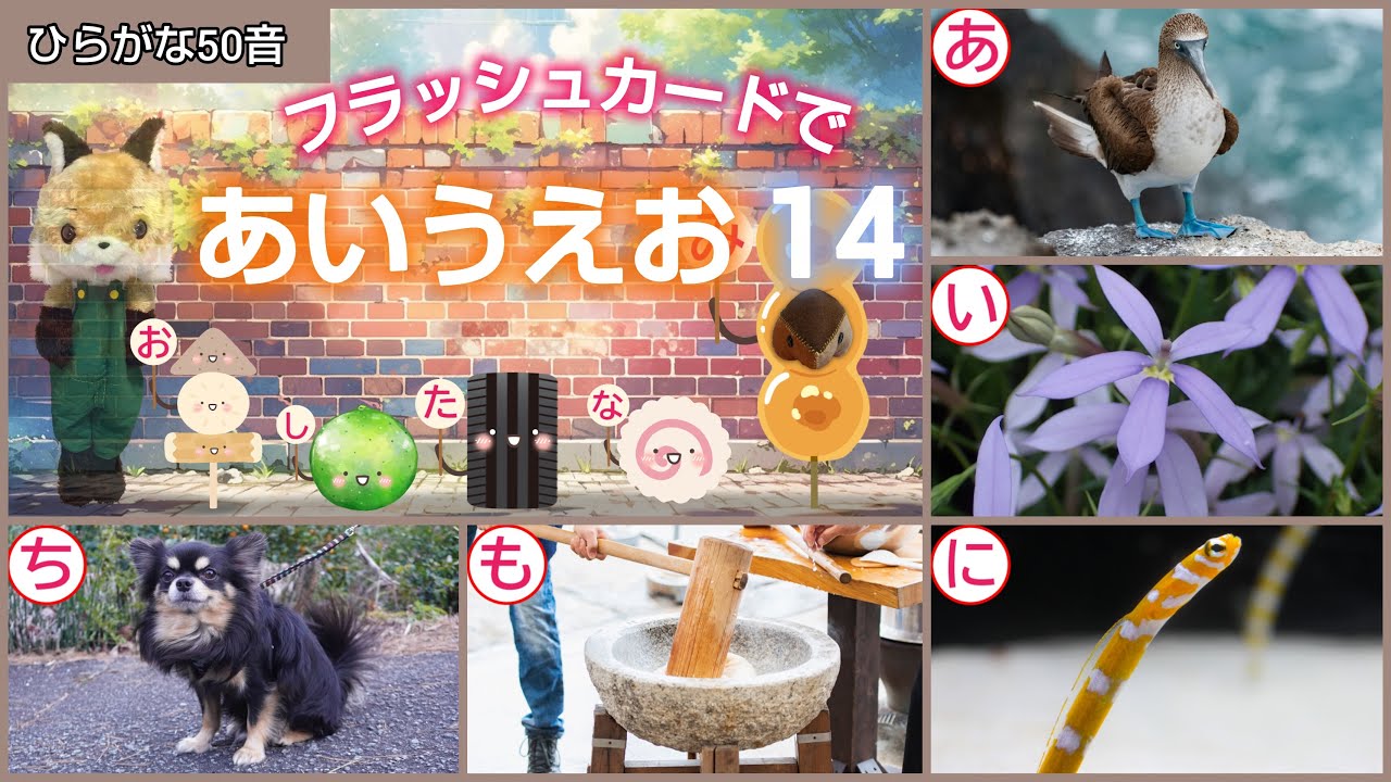 【フラッシュカード】ひらがな50音「フラッシュカードで♪あいうえお14」
