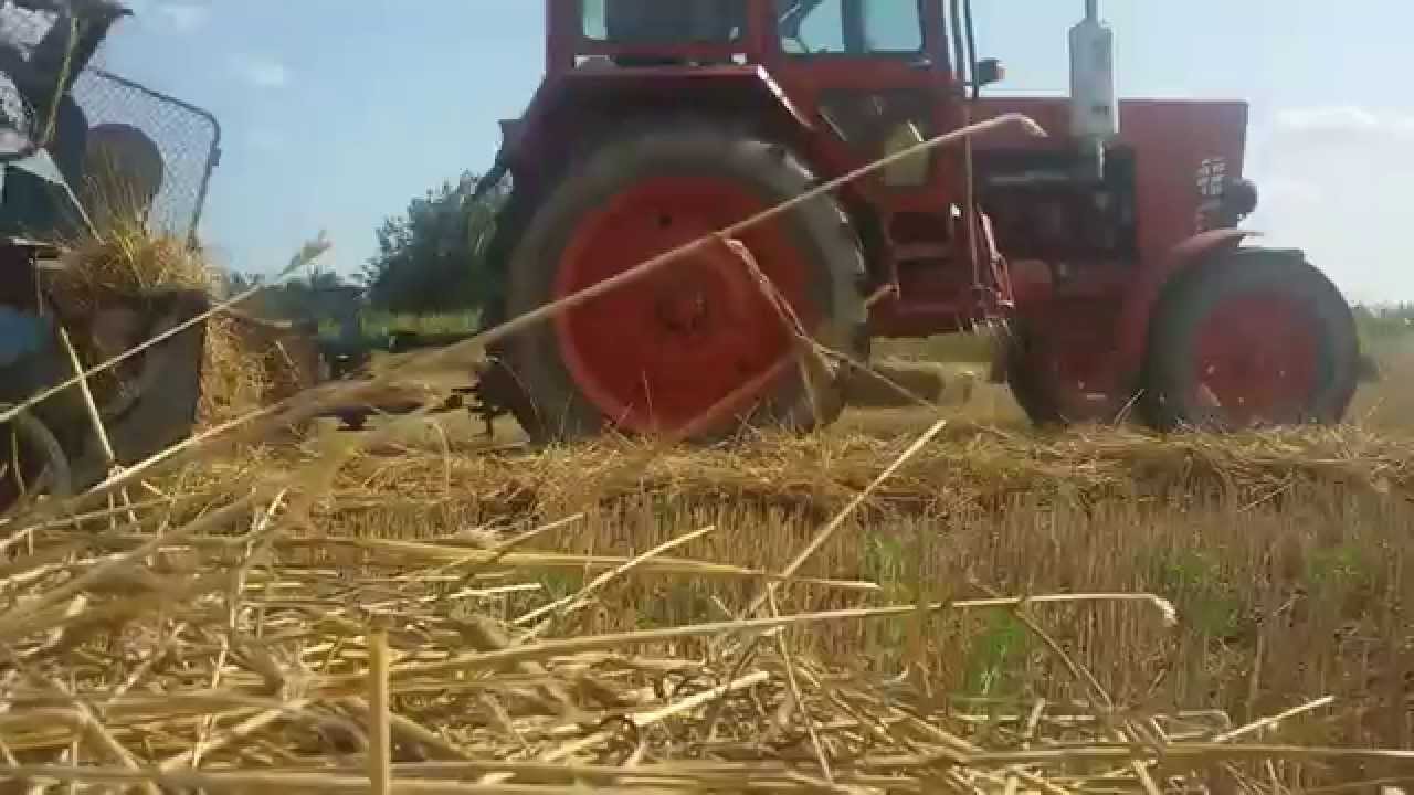 2015 Bálázás, MTZ550 & Fortschritt K442 [1080p]