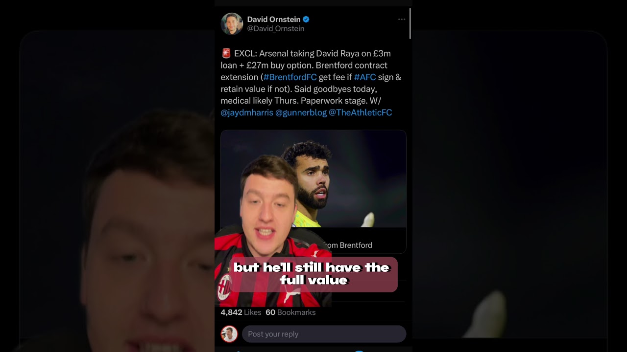 Why have Arsenal signed David Raya on LOAN?!