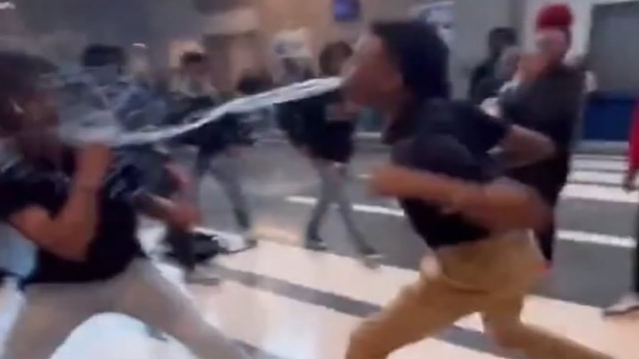 Top 5 Fight