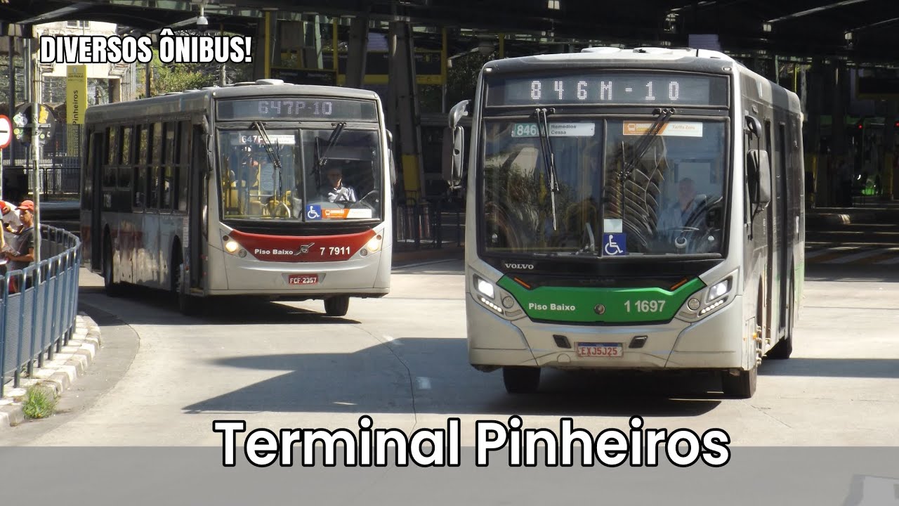 Ônibus SP | Movimentação de Ônibus no Terminal Pinheiros 