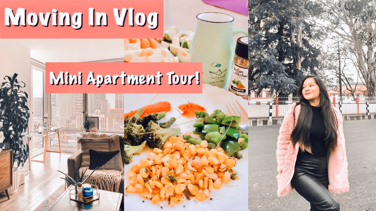 MOVE IN VLOG | MINI APARTMENT TOUR | SHILLONG | Bhabna Das